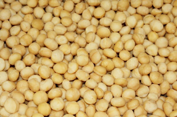 Raw Macadamias - 500gm Grown in Northern NSW - LISMORE